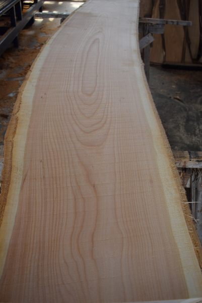 Cherry plank (K20-1)