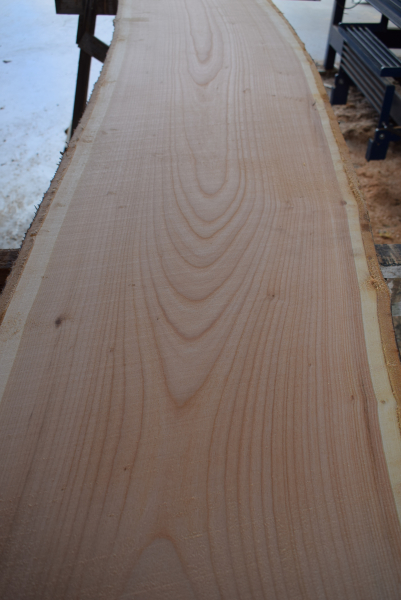 Cherry plank (K20-1)