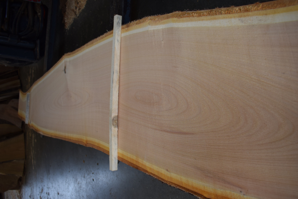 Cherry plank (K21-1)