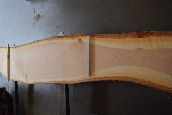 Cherry plank (K21-1)