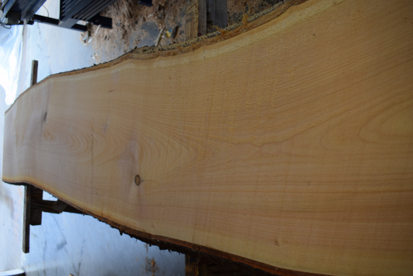 Cherry plank (K21-3)