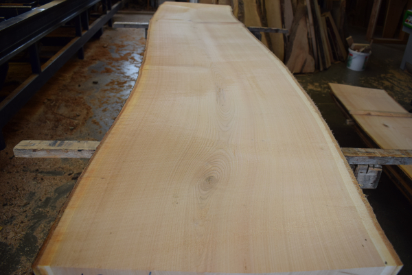 Cherry plank (K21-4)