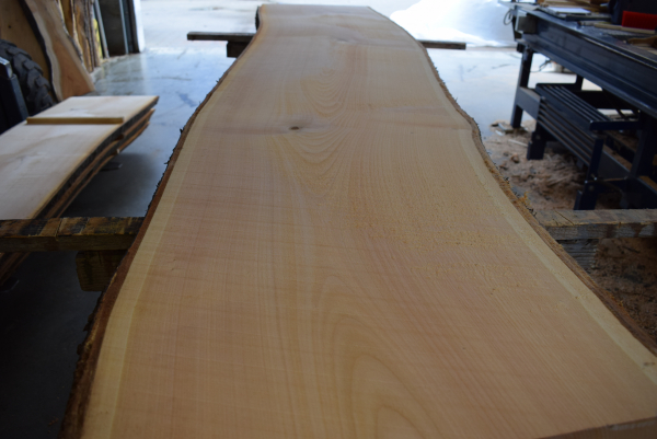 Cherry plank (K21-4)