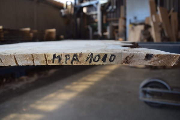 Maserpappel Bohle (MPA-1010)