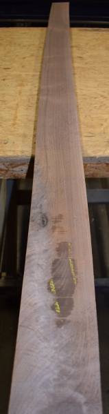 american Nuttree plank (NB-AM-E14) plant