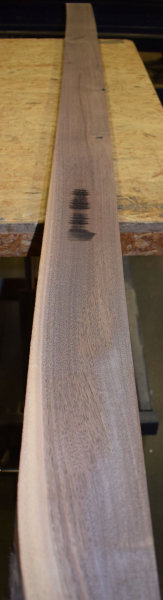 american Nuttree plank (NB-AM-E14) plant