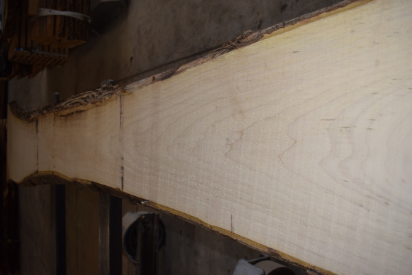 european Nuttree plank (NB-W-13-7)