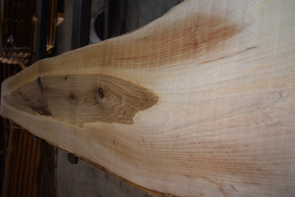 european Nuttree plank (NB-W-13-3)