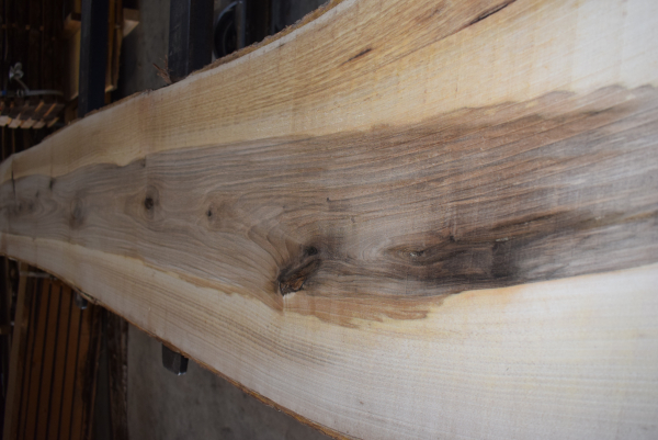 european Nuttree plank (NB-W-13-5)