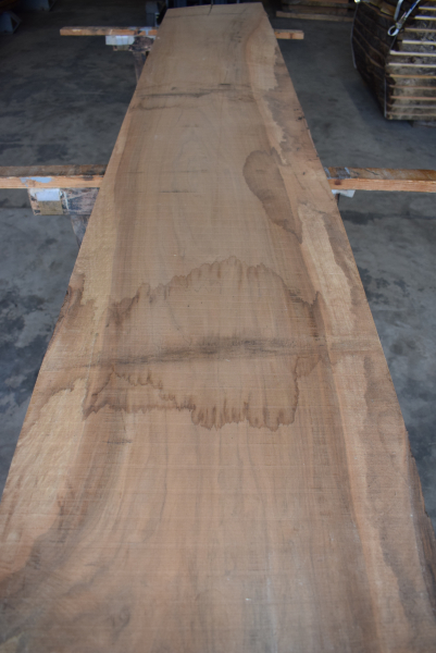 Nuttree plank (NB-W-E20)