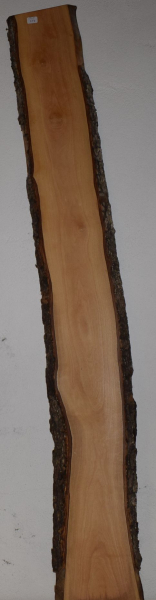 olive wood (OLV_216)