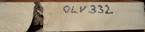 Olive Tree Plank  (OLV_332)