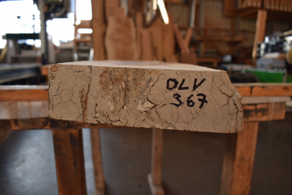 Olivenholz Bohle (OLV_367)