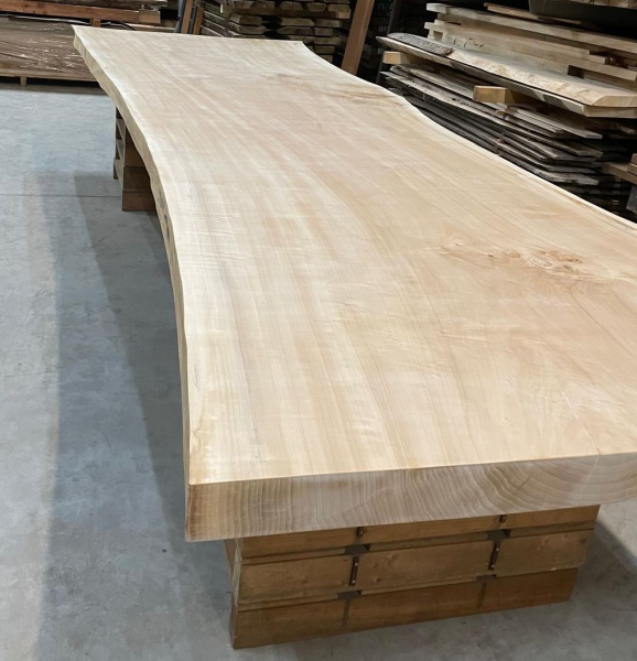 Solid wood slab of black poplar