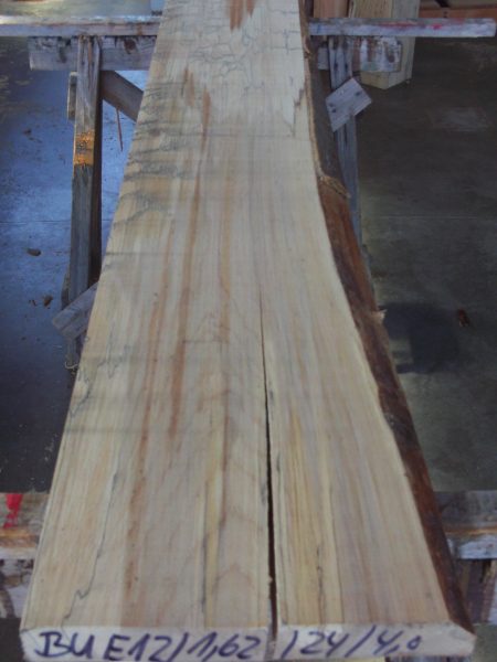 beech plank (BU-E12)